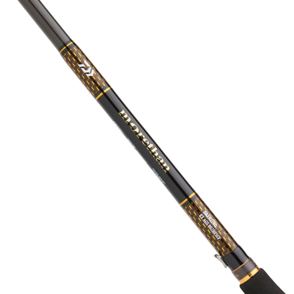 Daiwa Morethan Branzino Expert AGS 2.51M 7-28gr 2P Kamış