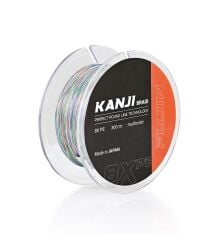 Fujin Kanji 8X 300 Metre Multi Color Pe Line