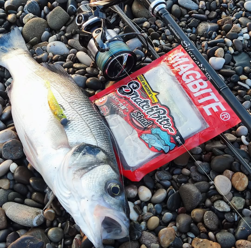 Magbite Snatch Bite Shad 3’’