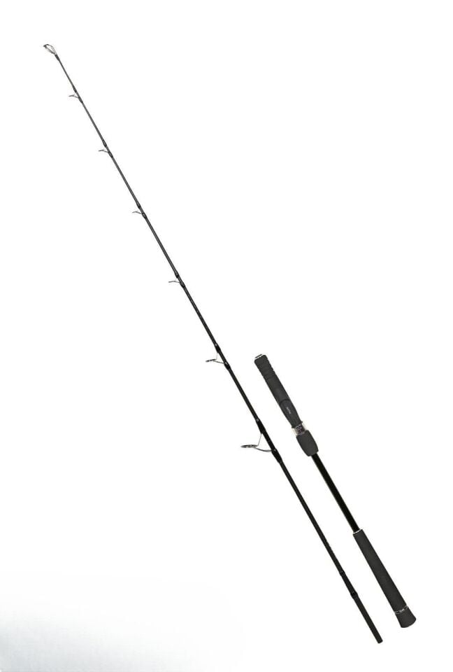 Fujin Valhalla Bigsea 178cm 250gr Speed Jig Live Bait Kamışı