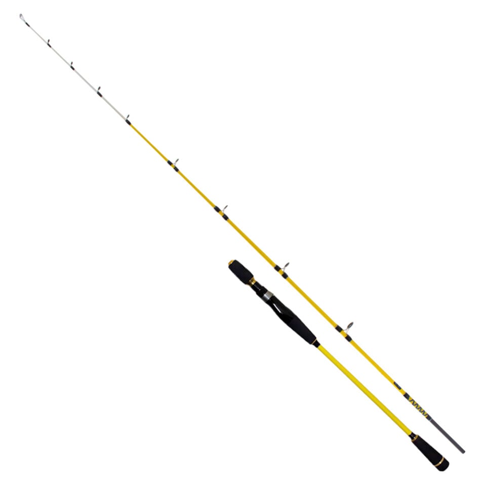 Ryuji Sparrow 1.70m 15-200gr 2P Bot Olta Kamışı