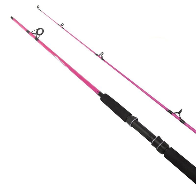 Fladen Festival 2P 10-30G Pembe Kamış 180 CM