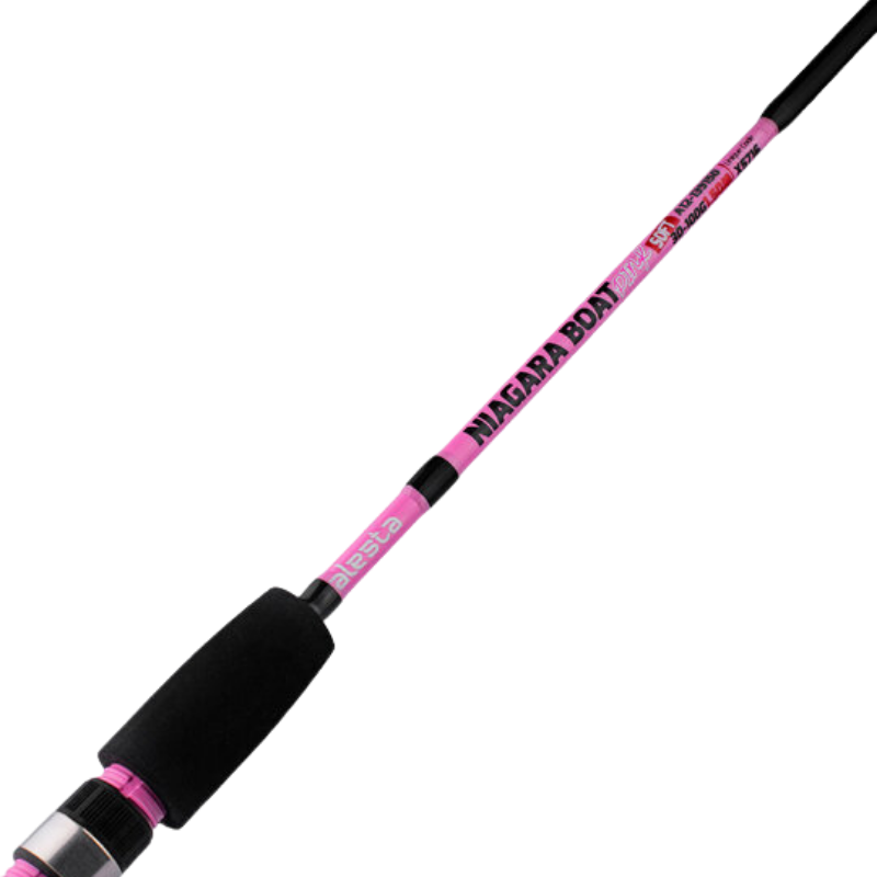 Alesta Niagara Pink 165 cm Dolgu Kamış