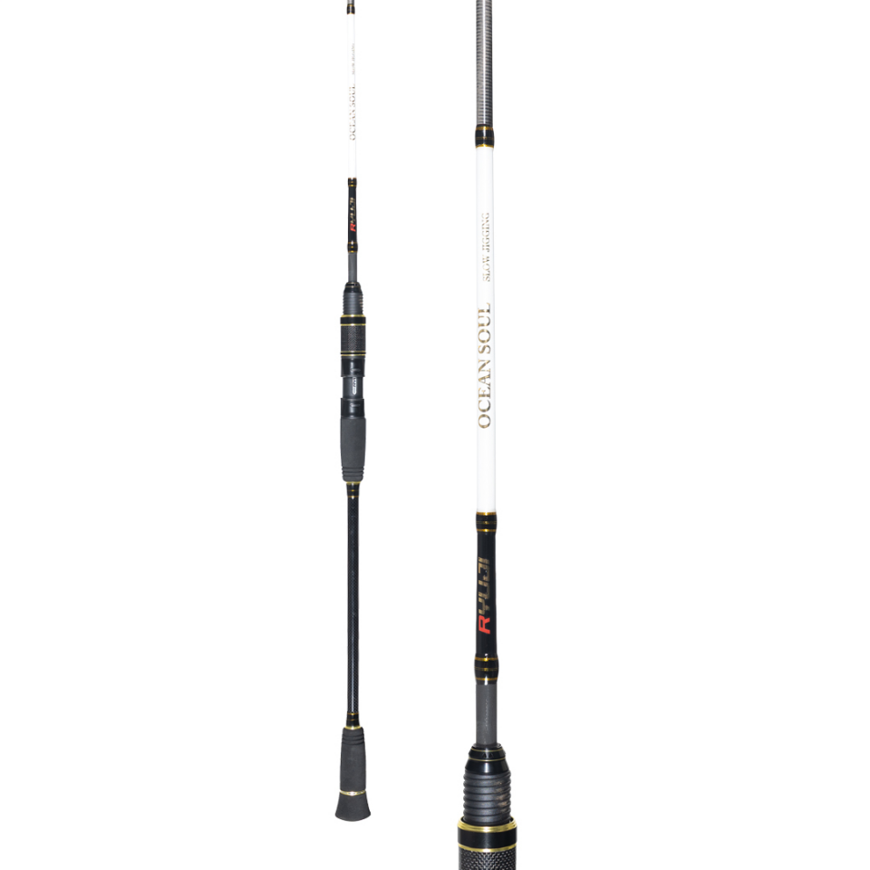 Ryuji Ocean Soul Fuji 1.83M 80-300GR 2P Slow Jig Kamış