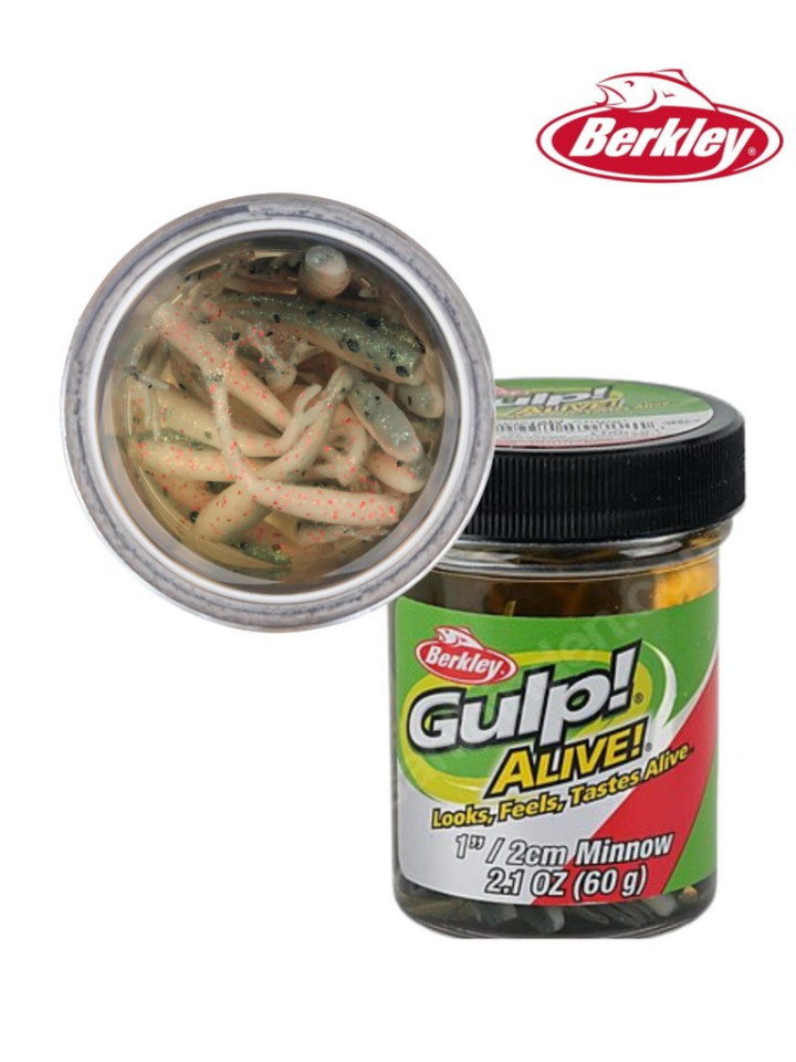 Berkley Gulp Alive 1'' Inc Minnow Silikon Yem